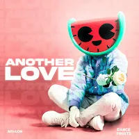Melon — Another Love Ft Dance Fruits Music — обложка