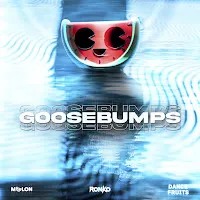 Melon — Goosebumps Ft Ronko & Dance Fruits Music — обложка
