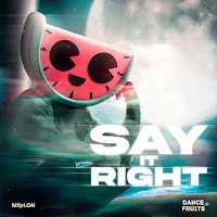Melon — Say It Right Ft Dance Fruits Music — обложка